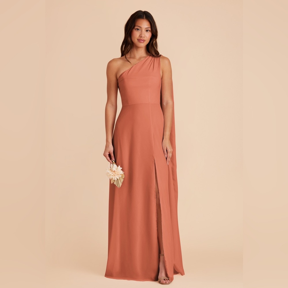 Birdy Grey Melissa Dress in Terracotta Chiffon Size Small